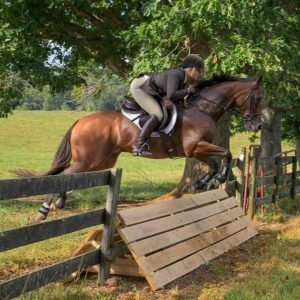 Horse and rider jumping coop in fenceline