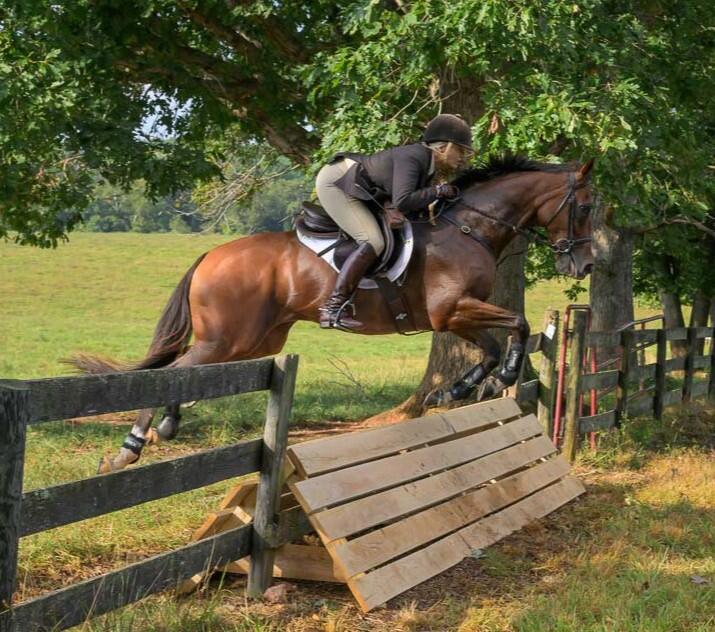 Horse and rider jumping coop in fenceline