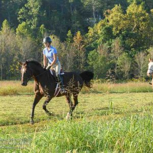 Rider galloping horse through field