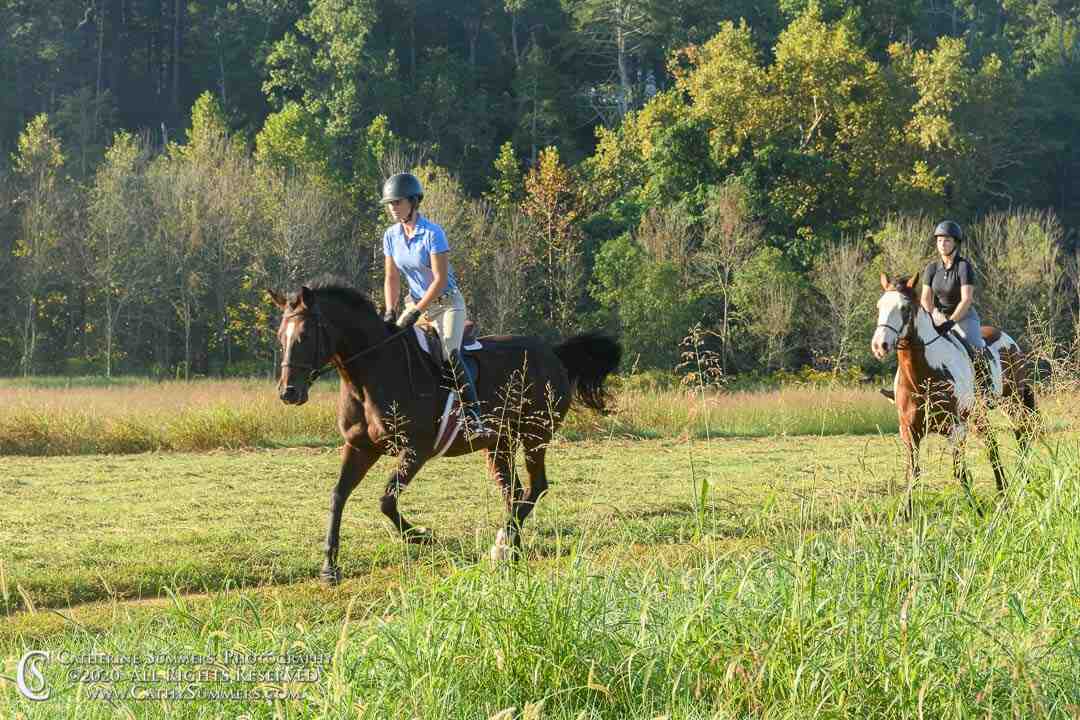 Rider galloping horse through field