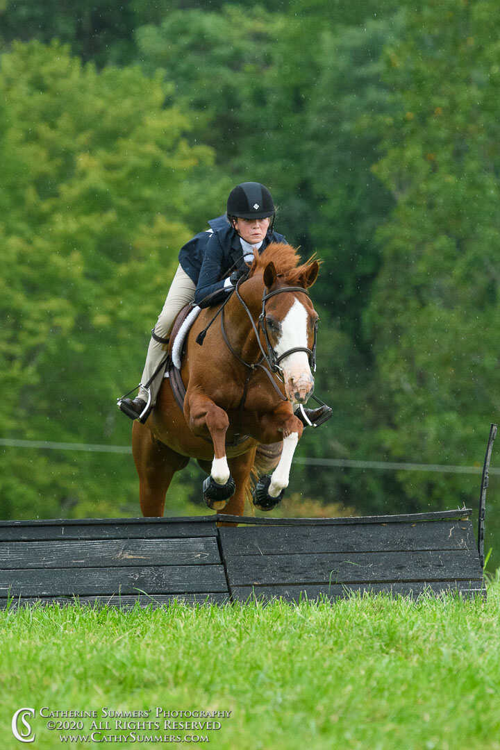 Horse and rider jumping coop
