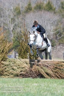 Horse and rider jumping brush