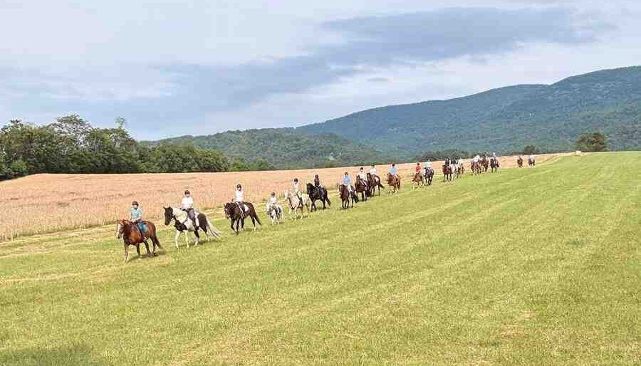 Single line of trail riders walking through a field with mountains in the background
