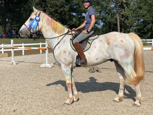 Rider on horse with painted spots and blue ribbon