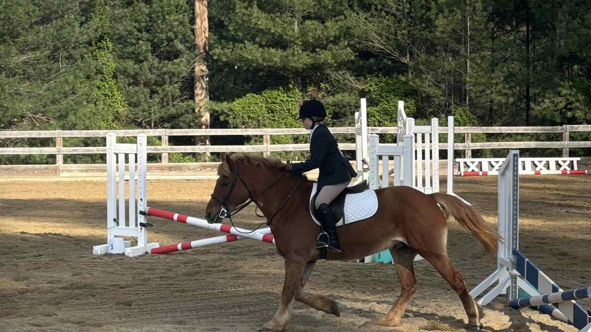 Girl riding pony in stadium ring