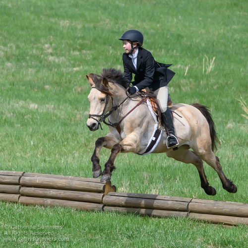 girl on a buckskin pony jumping a log jump hunter trials