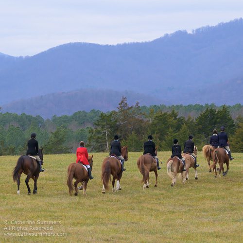 group of riders from behind, going toward mountain vistas