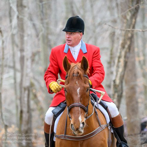 FHC Huntsman on Chestnut horse in red coat